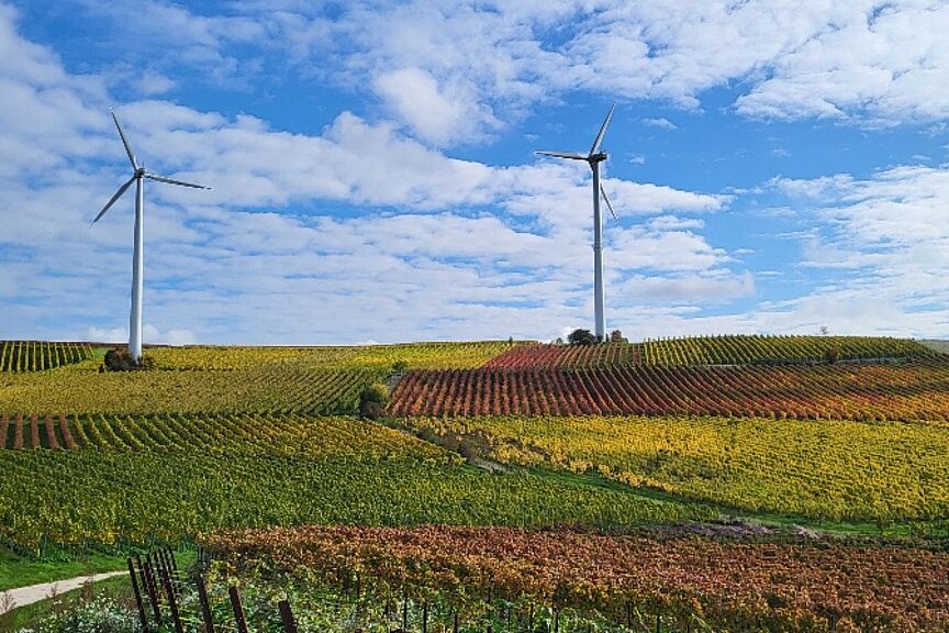 2016-08-15_Rheinhessen-im-Herbst.jpg Rheinhessische Landschaft im Herbst: Das Bild zeigt eine Landschaft mit zwei Windturbinen, die in mittlerer Entfernung positioniert sind. Sie befinden sich vor dem Hintergrund eines teilweise bewölkten Himmels. Der Vordergrund- und Mittelgrund besteht aus Wingerten in verschiedenen Herbstfärbungen. Die Wingerte liegen in sanft hügeliger Landschaft. In der unteren Ecke ist ein Weg sichtbar, der sich durch die Landschaft schlängelt.